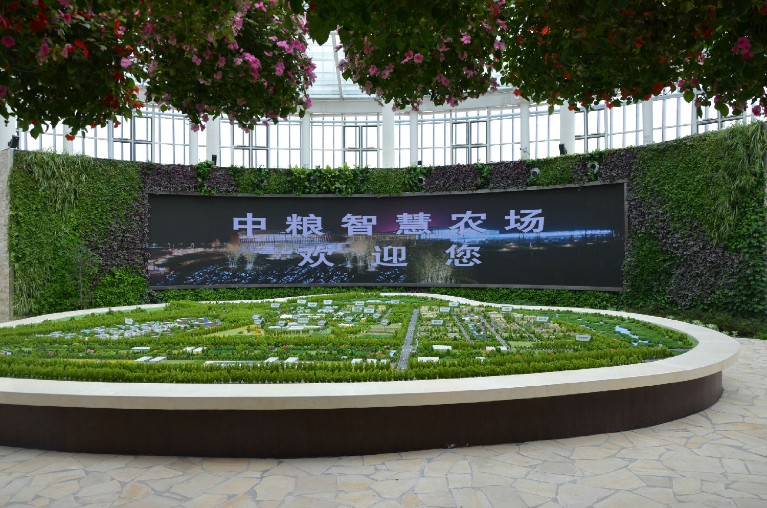植物墙,植物墙设计,北京植物墙,植物墙公司