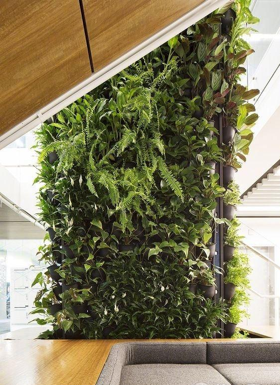 植物墙维护,植物墙管理,植物墙养护