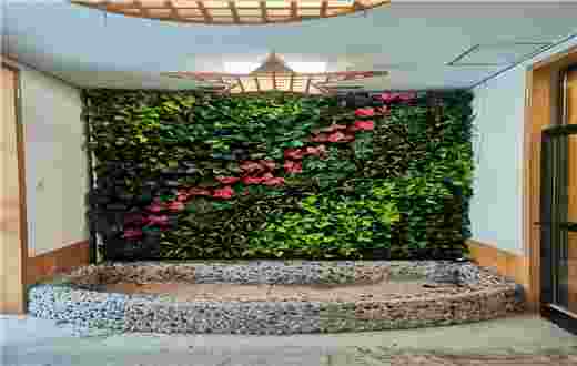 北京某幼儿园的定制植物墙