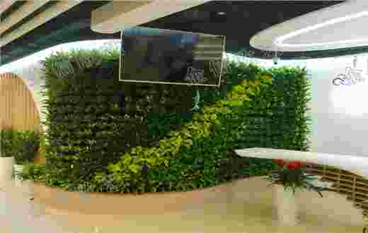 清华科技园又一面植物墙完工